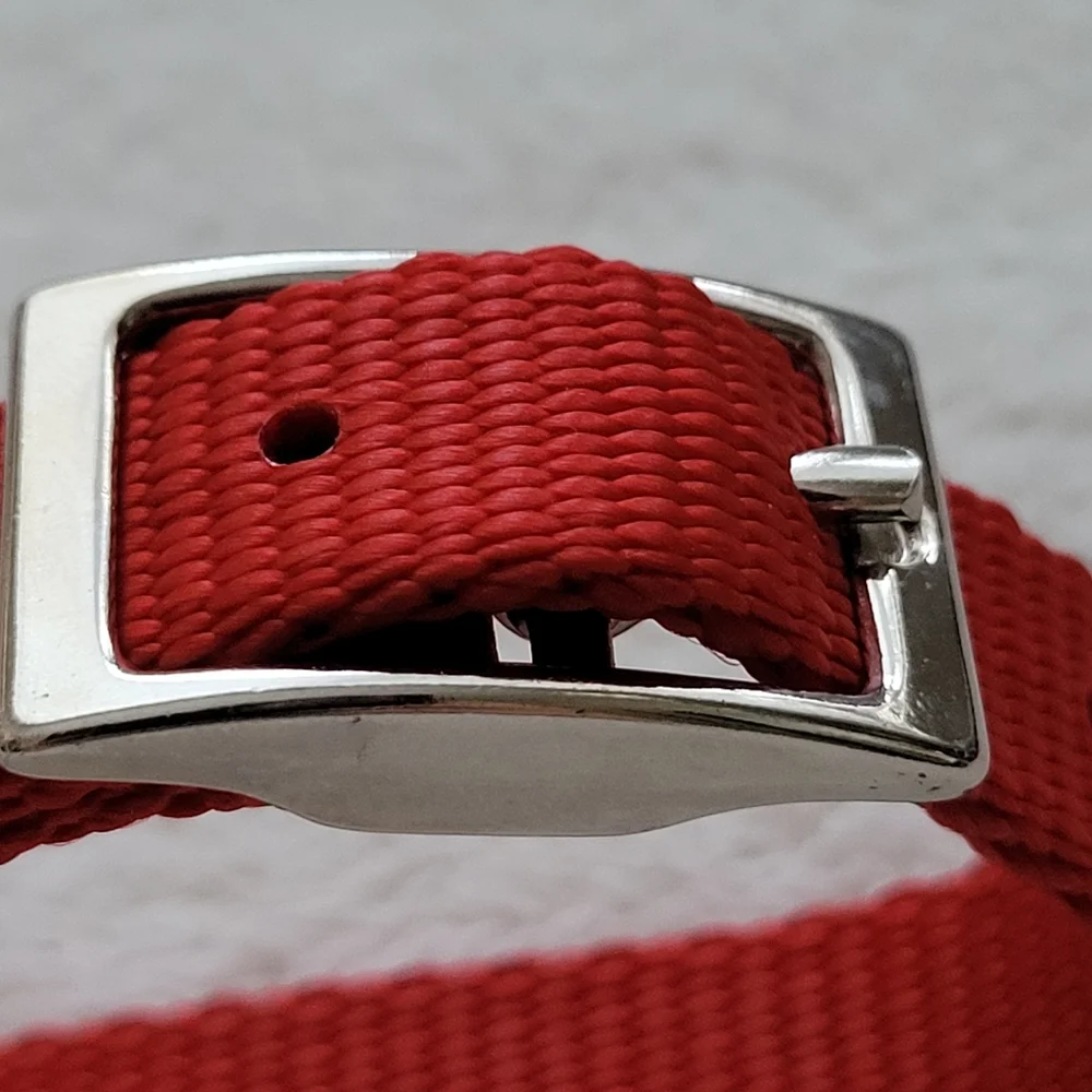 Puppy Collar | NWOT Red Nylon Silver Buckle